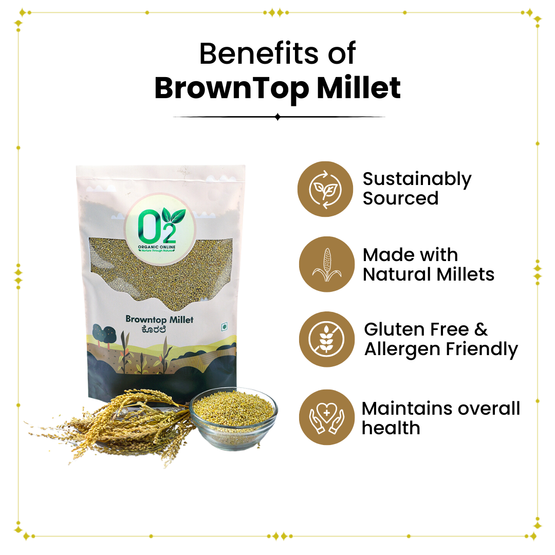 Browntop millet