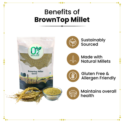 Browntop millet